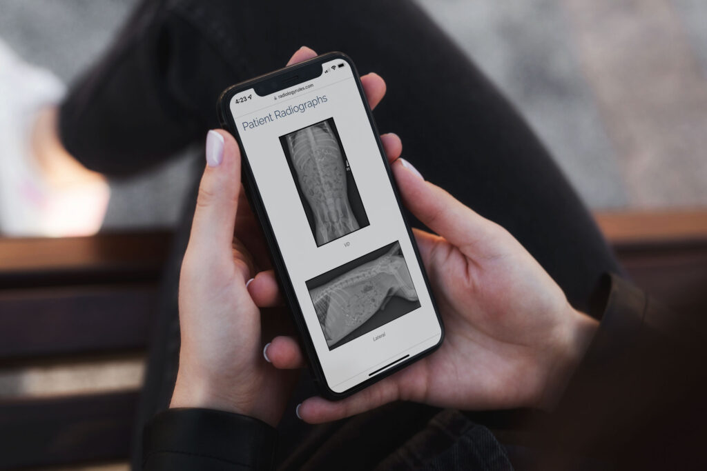 RR-mobile-radiographs